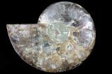 Agatized Ammonite Fossil (Half) - Madagascar #78610-1
